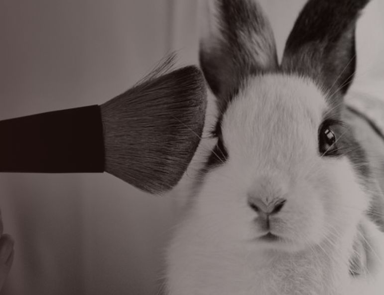 Як відбувається тестування косметики на тваринах і що таке Cruelty-free?